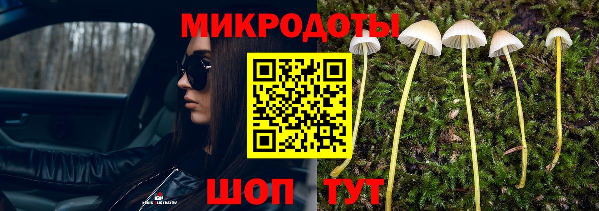 Псилоцибиновые грибы Magic Shrooms Бердск