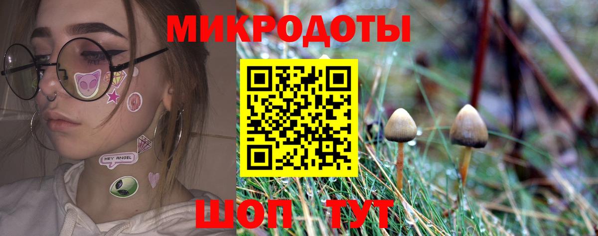 закладка  Псилоцибиновые грибы прущие грибы  Вход с VPN  Бердск 